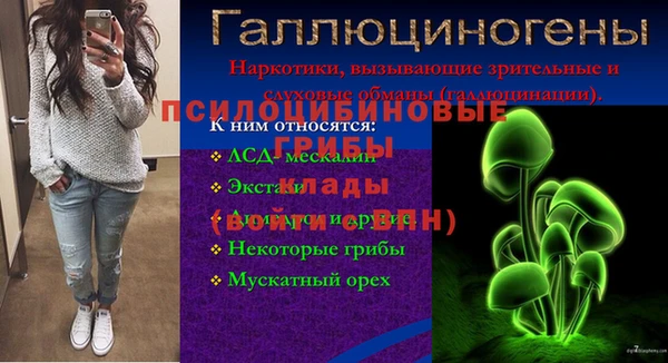 хмурый Заводоуковск