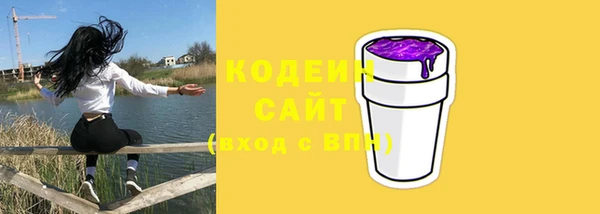 эйфоретик Болотное