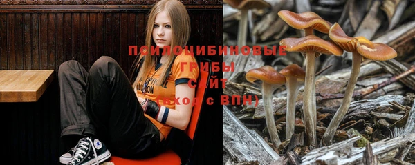 таблы Осинники