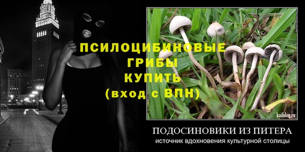 амф Абаза