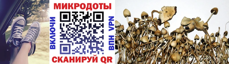 Галлюциногенные грибы Magic Shrooms  Россошь 